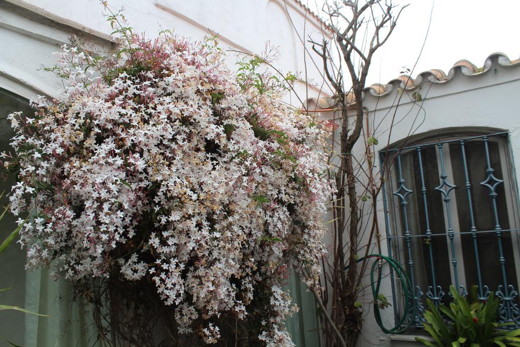 Casa Colonia Villa La Linea de la Concepcion Exterior photo